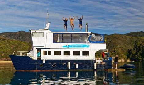 Abel Tasman Floating Backpackers Hostel And Private Room